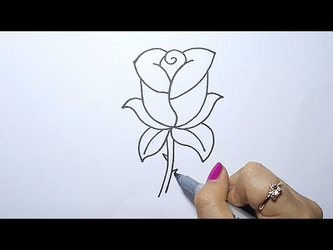 Vẽ Hoa Hồng Cực Dễ | Ong Mật Mỹ Thuật #29 - Youtube