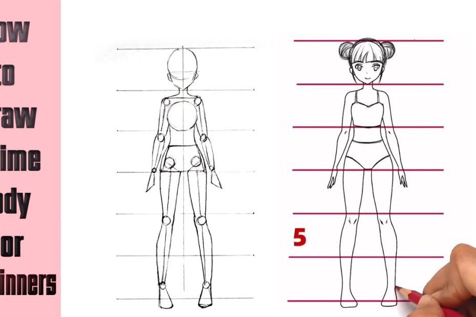 Cách Vẽ Cơ Thể Người Anime Cho Người Mới Bắt Đầu | How To Draw Body Anime  Step By Step (Tutorial) - Youtube