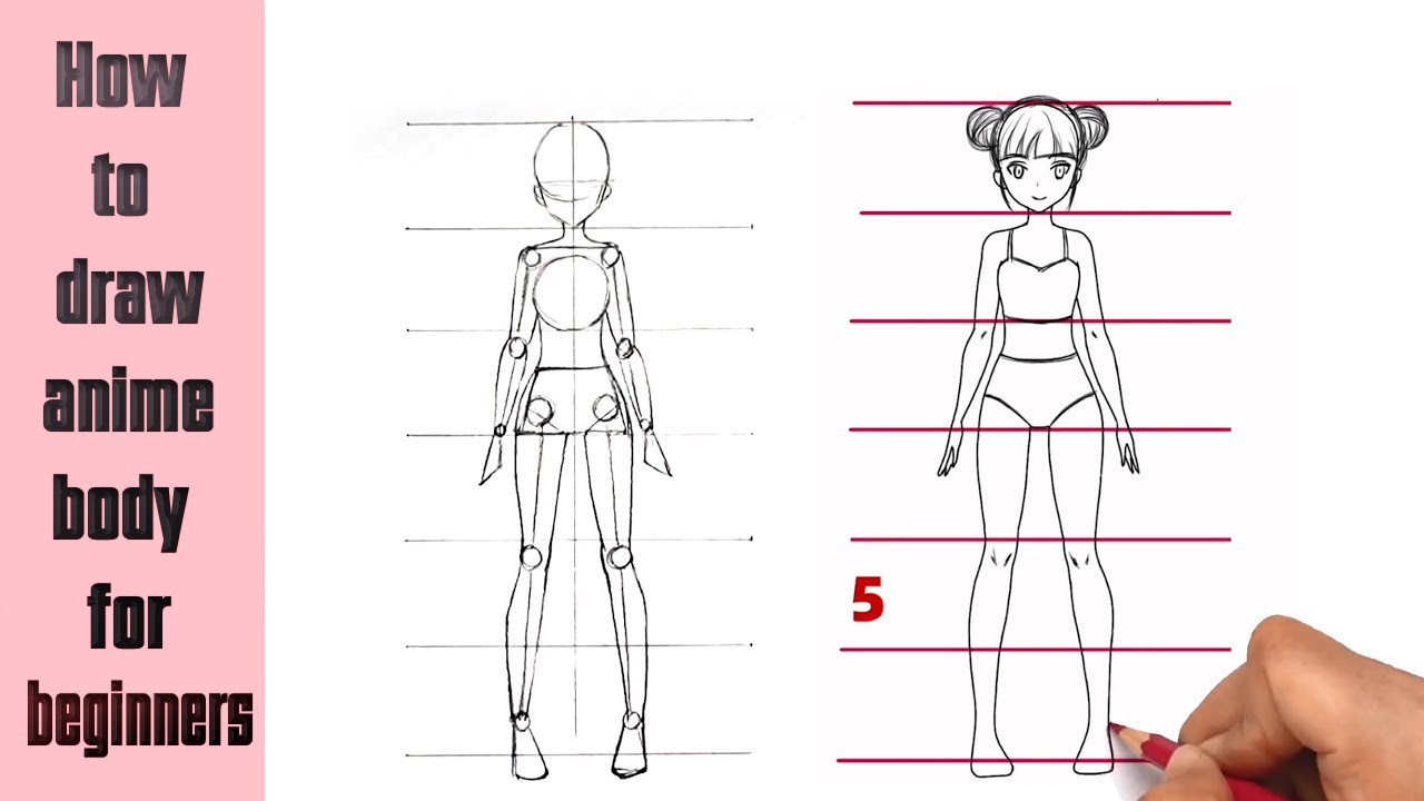 Cách Vẽ Cơ Thể Người Anime Cho Người Mới Bắt Đầu | How To Draw Body Anime  Step By Step (Tutorial) - Youtube